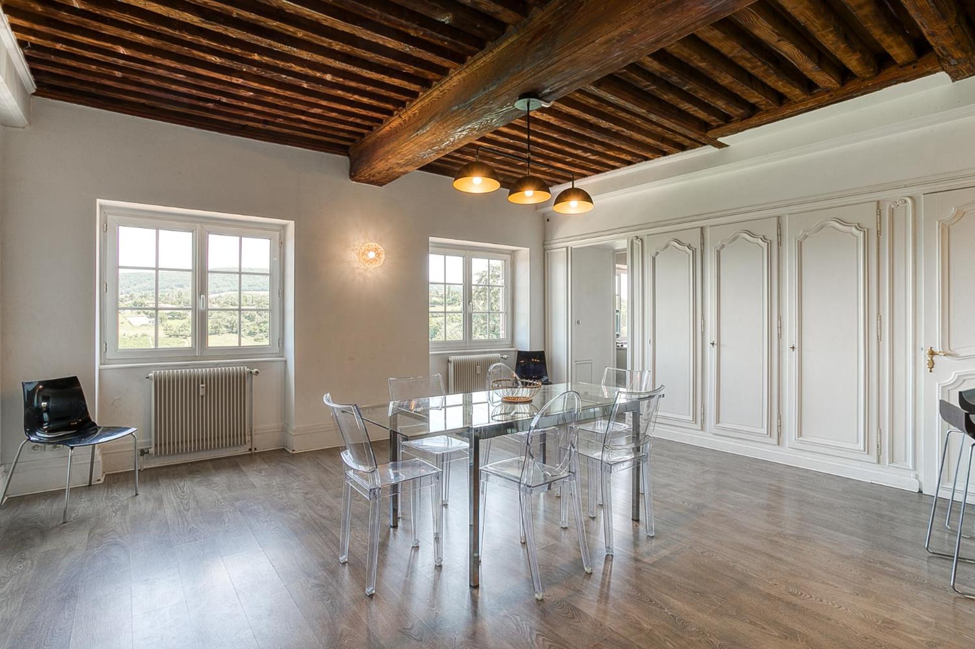 Sejourner Au Chateau De La Roue Grand Appartement Lissieu Екстериор снимка