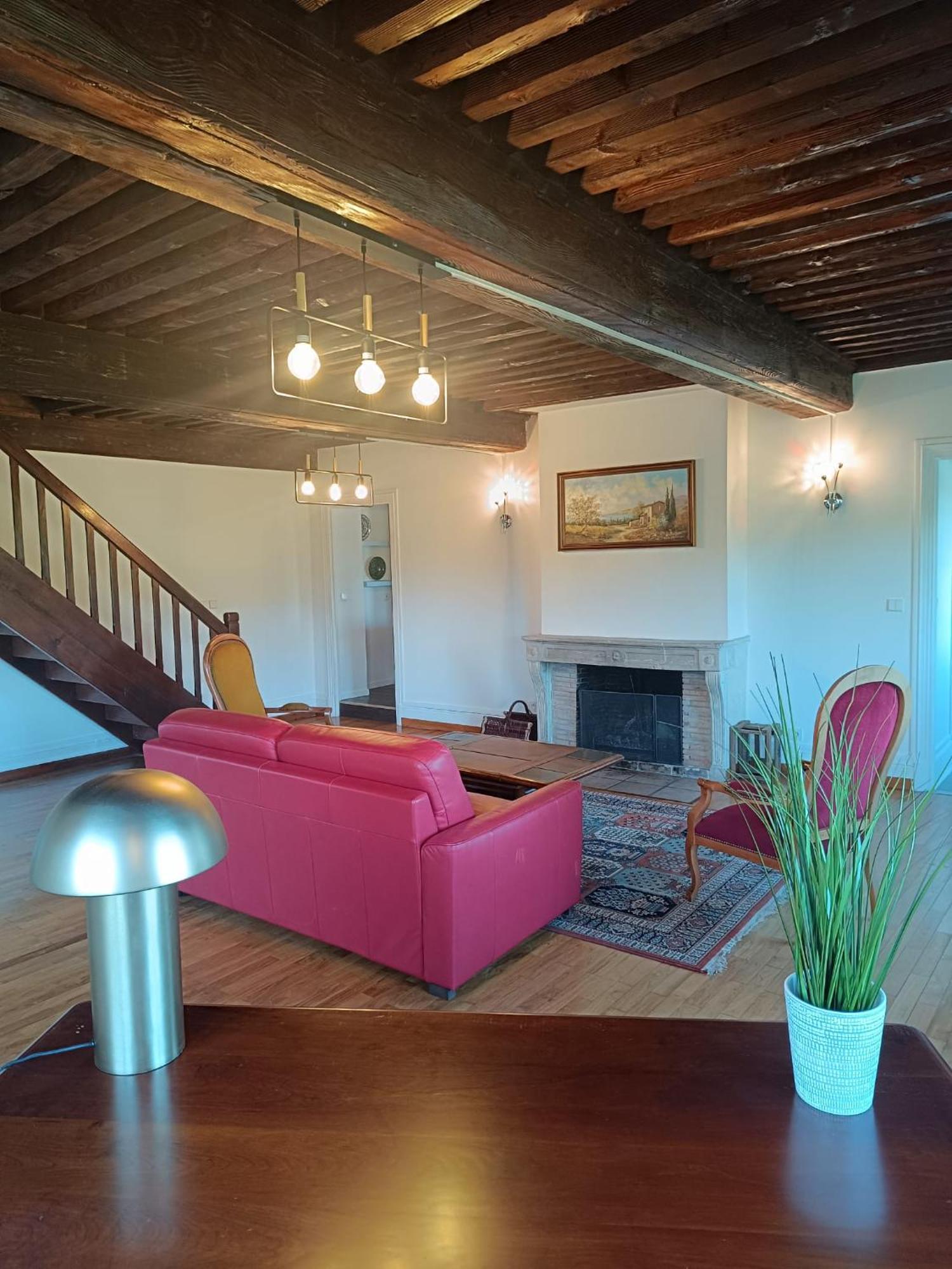 Sejourner Au Chateau De La Roue Grand Appartement Lissieu Екстериор снимка