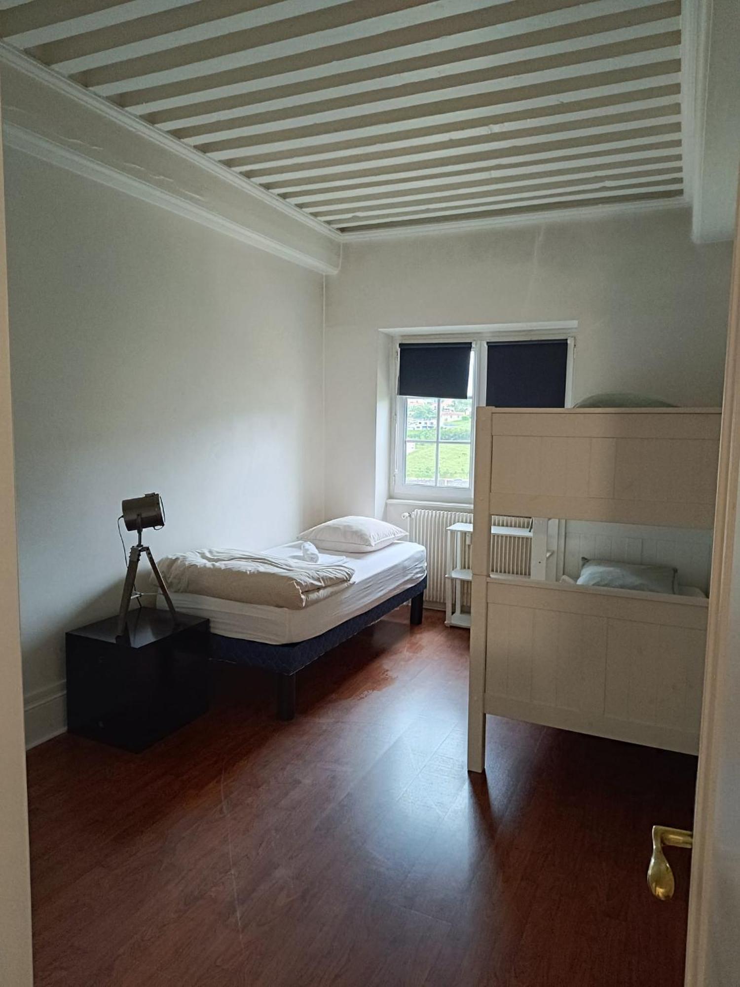 Sejourner Au Chateau De La Roue Grand Appartement Lissieu Екстериор снимка